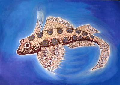 Dragonet Fish, 1999 by Nat Morley